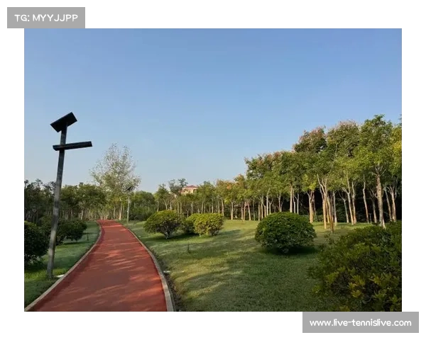 智能跑步助手：精准记录运动数据，科学分析提升跑步效果，助你突破个人最佳